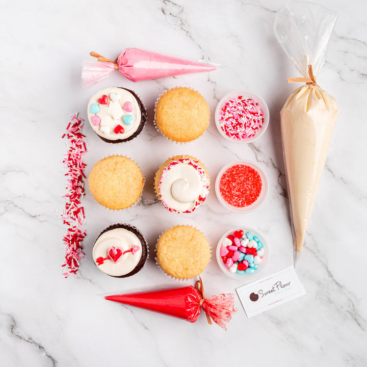 DIY Valentine's Day Cupcake Decorating Kit